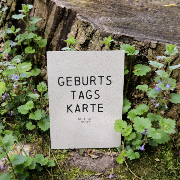Postkarte aus Graspapier "Geburtstag" - von Hannibelle