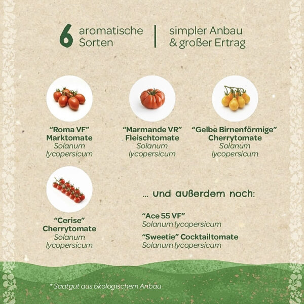 Die Stadtgärtner - Saatgut - Set Tomaten – Bild 3