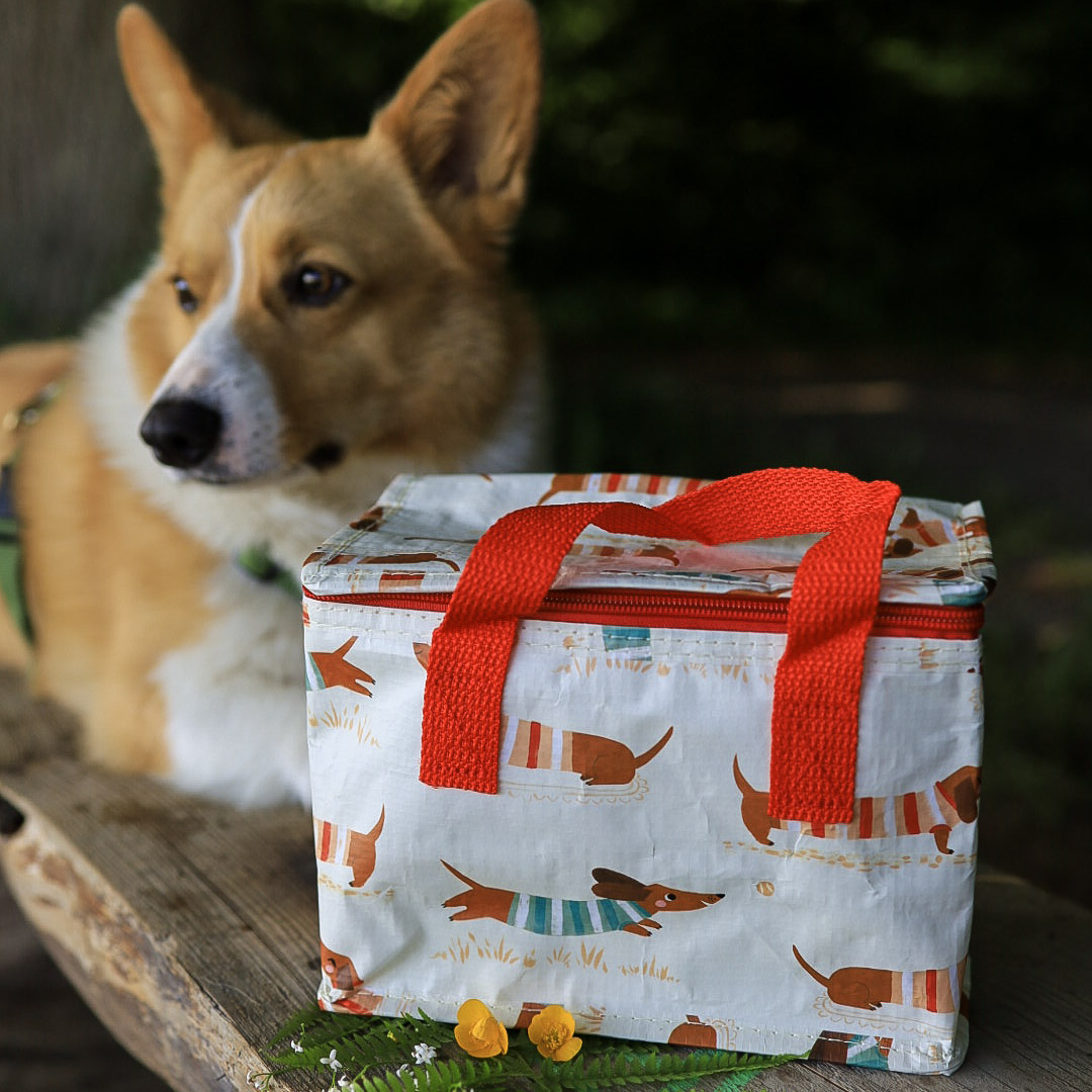 Mini - Lunchbag "Sausage Dog" – Bild 2
